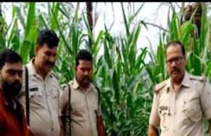 दहेज में बुलेट नहीं मिली तो नवनिवाहिता की हत्या कर शव जलाने का प्रयास, पुलिस को देख फरार हुए ससुराली