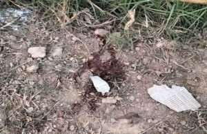 मोतिहारी में खेत में बम बांधने के दौरान धमाका, एक घायल, पहुंची एफएसएल की टीम