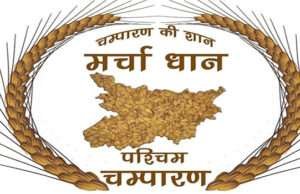 विश्वस्तर पर बिखरेगी पश्चिमी चम्पारण के मरचा धान की खुशबू, मिलेगी नई पहचान, शीघ्र मिलेगा जीआई टैग