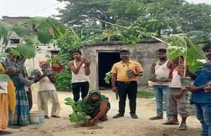 वन महोत्सव सप्ताह के तहत मनरेगा योजना से किया गया पौधरोपण