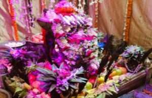 प्रसिद्ध सोमेश्वरनाथ महादेव मंदिर में धूमधाम से मना अन्नकूट, हुआ भोलेनाथ का भव्य श्रृंगार