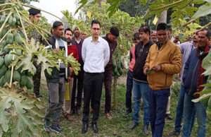 डीएम सौरभ जोरवाल ने पीपराकोठी में पपीते की खेती का लिया जायजा, कही यह बात