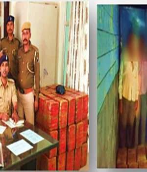 रक्सौल व हरैया पुलिस की संयुक्त कार्रवाई में अंतरदेशीय मादक पदार्थ तस्करी का भंडाफोड़, 444.166 किलो गांजा समेत दो तस्कर धराये