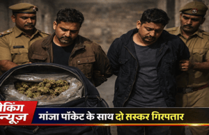 मोतिहारी में 45 लाख के गांजा के साथ दो तस्कर गिरफ्तार, अल्टो जब्त