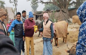 पशुपालकों को दी गई मवेशी के बांझपन रोग से बचाव की विशेष जानकारी, दिए गए सुझाव