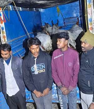 मोतिहारी में पशु तस्कर धराये, भेजे गये जेल