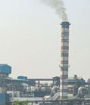 बिहार में खुलेंगी 25 नई चीनी मिलें, गन्ना की खेती का होगा विस्तार, अधिकांश जिलों में भूमि चयन का काम पूरा