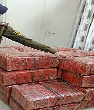 मोतिहारी पुलिस की बड़ी कामयाबीः अंतर्राज्यीय गांजा तस्करी का भंडाफोड़, 422 किलो से अधिक मादक पदार्थ बरामद